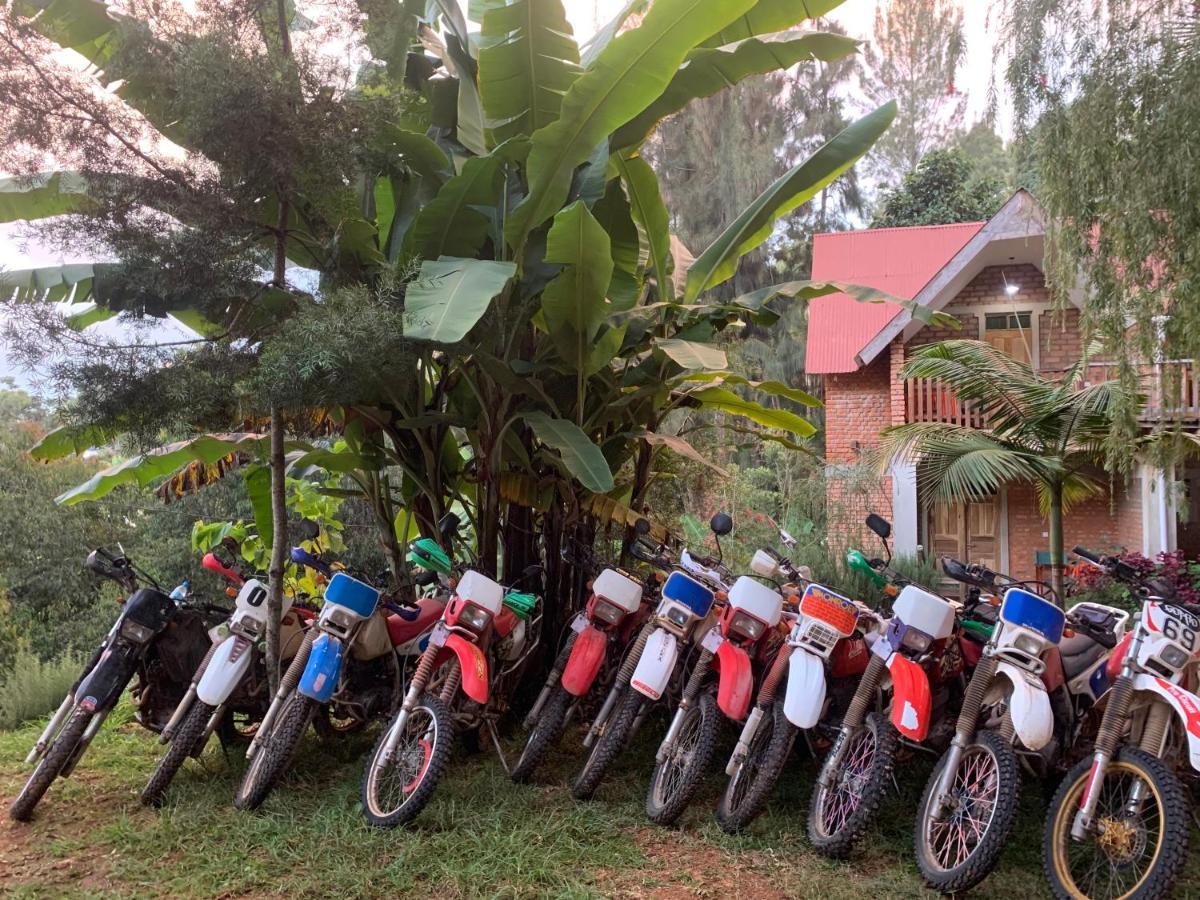 David Crater Homestay Lushoto Buitenkant foto