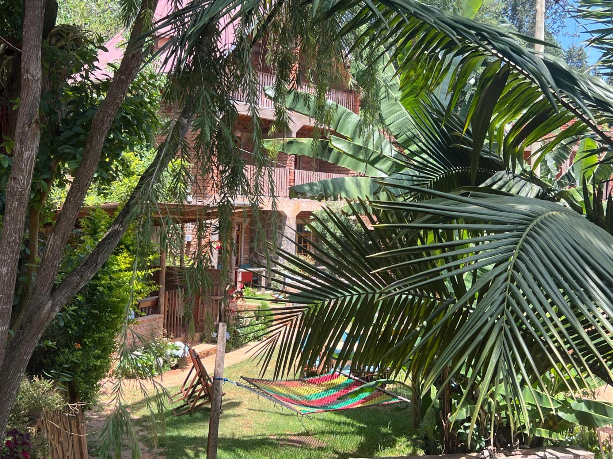 David Crater Homestay Lushoto Buitenkant foto